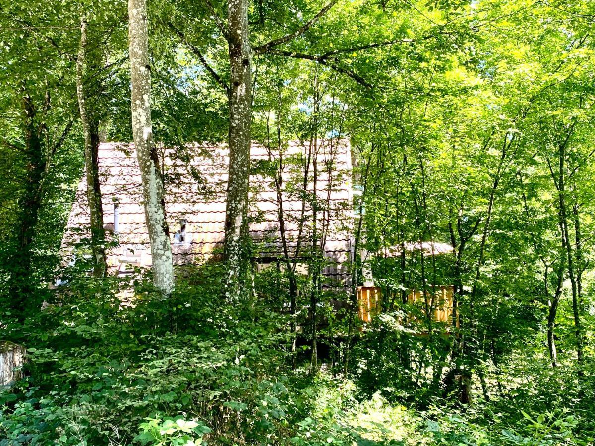 A- Frame Huisje Ardennen Durbuy Zewnętrze zdjęcie