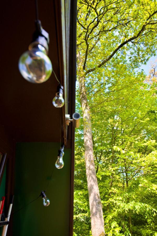 A- Frame Huisje Ardennen Durbuy Zewnętrze zdjęcie